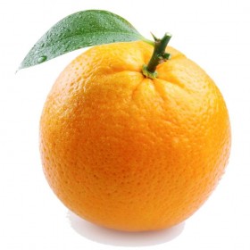 import export in chennai 